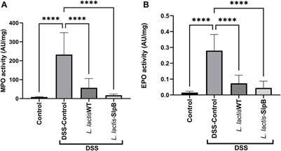 SlpB Protein Enhances the Probiotic Potential of L. lactis NCDO 2118 in Colitis Mice Model